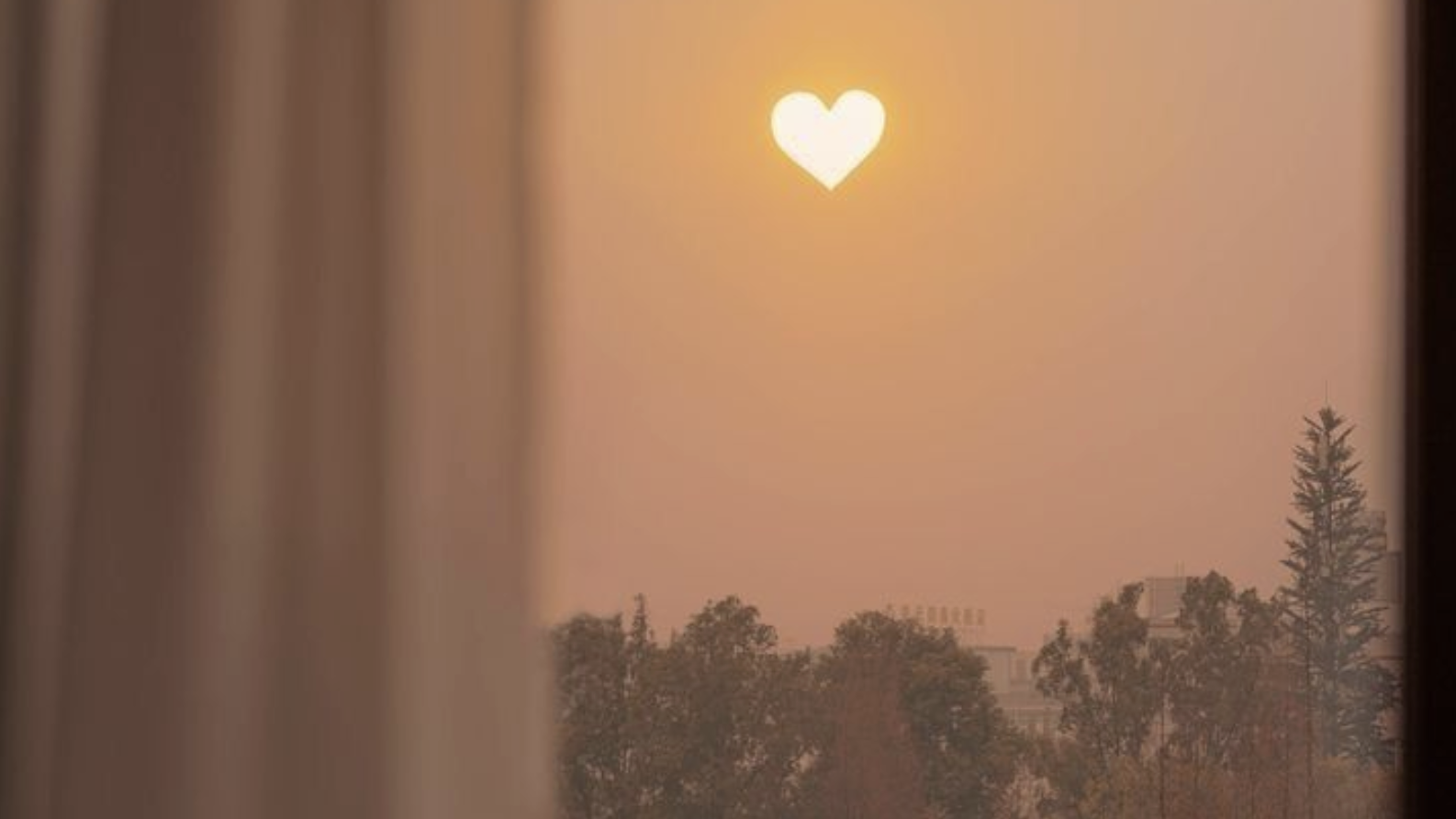 Grace Notes: The Details That Define the Experience